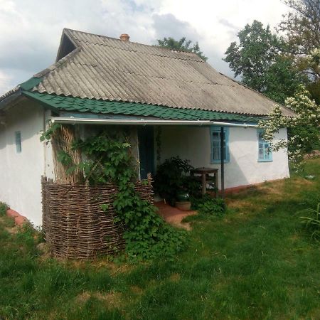 Дибинецькі Карпати Dybintsy Exteriér fotografie