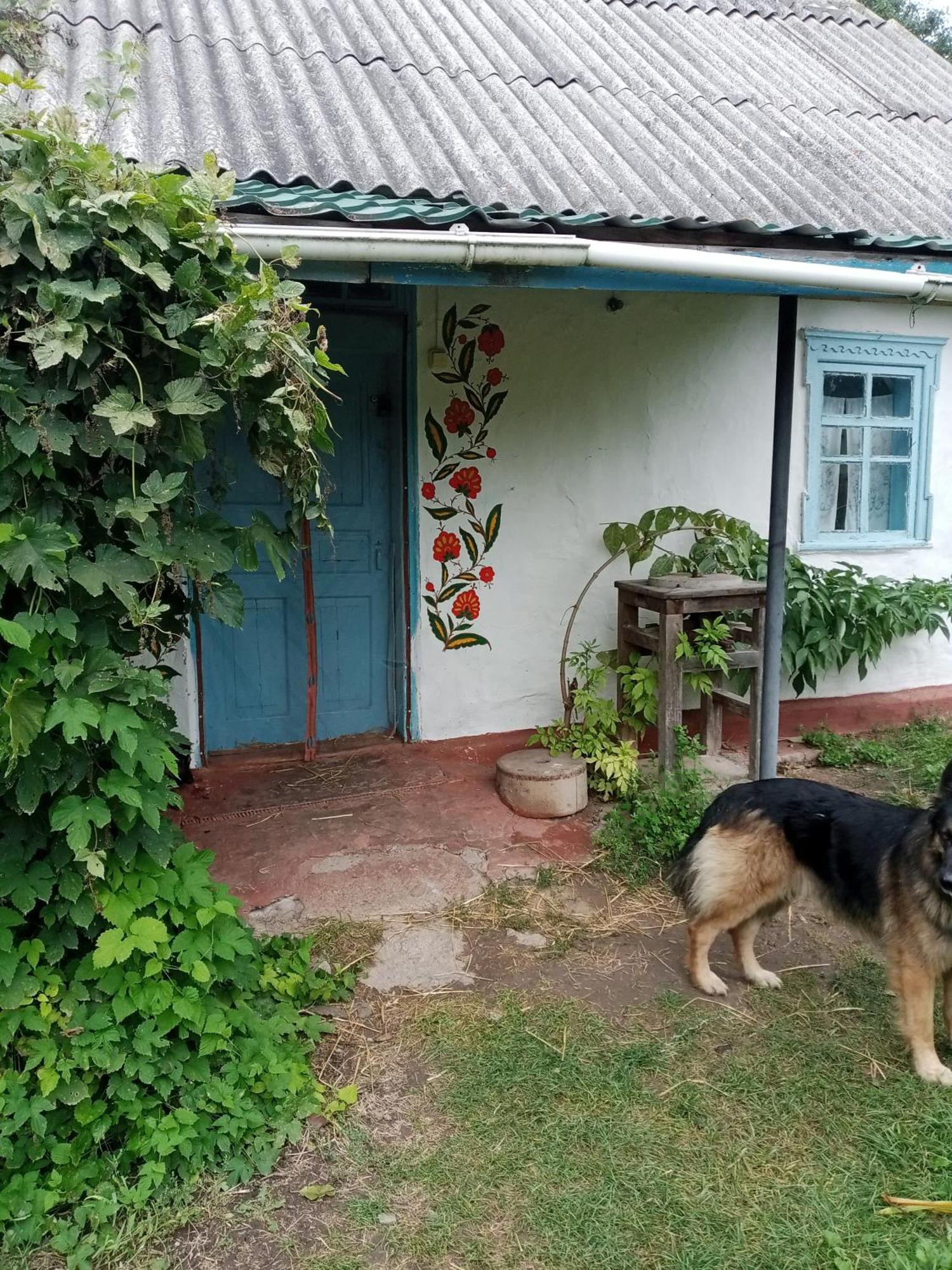 Дибинецькі Карпати Dybintsy Exteriér fotografie