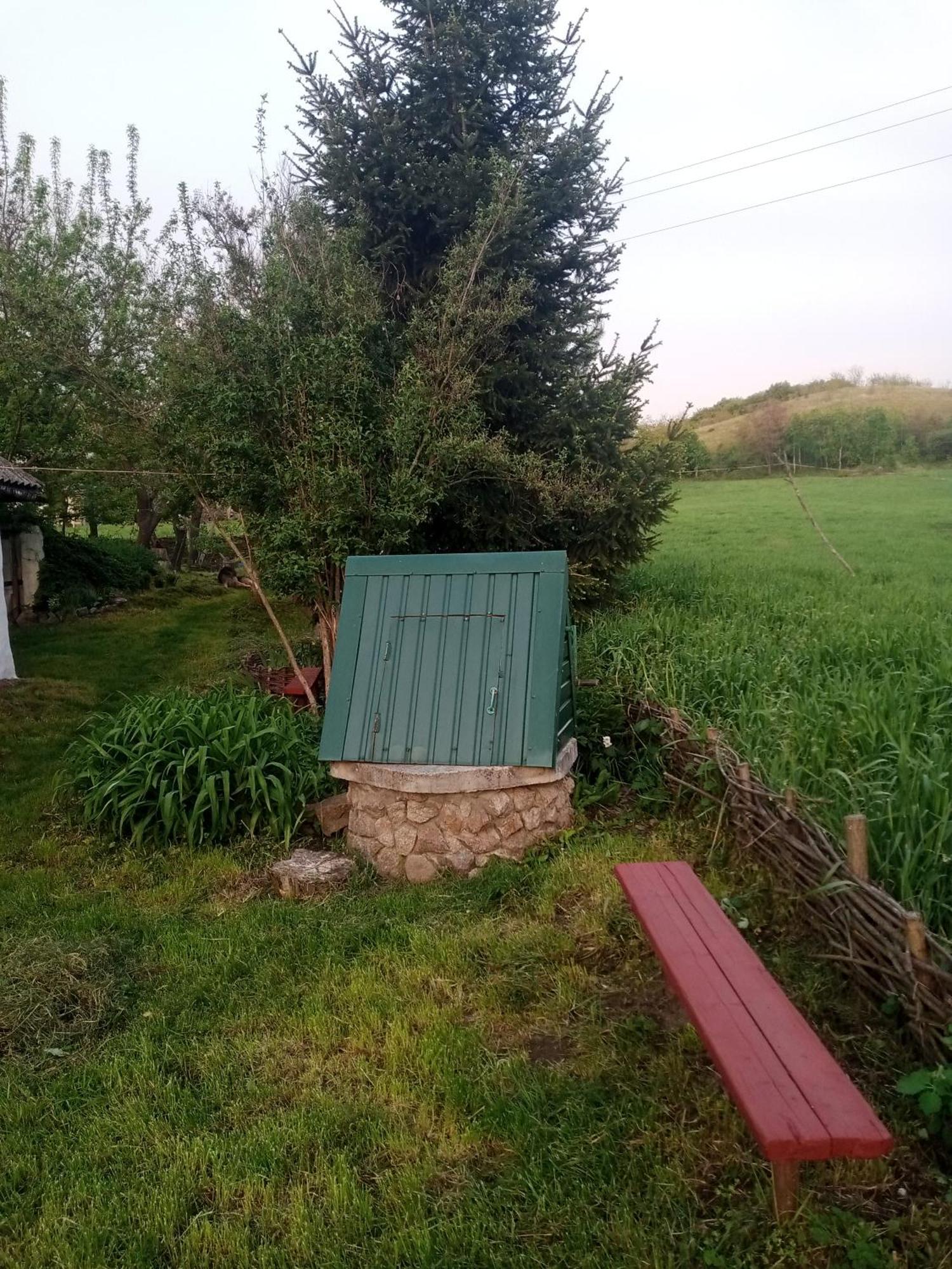 Дибинецькі Карпати Dybintsy Exteriér fotografie