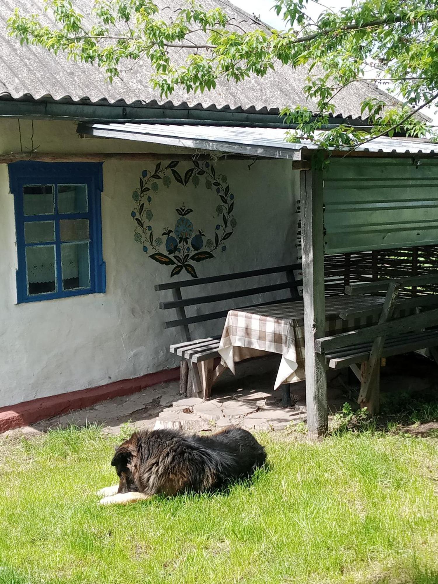 Дибинецькі Карпати Dybintsy Exteriér fotografie