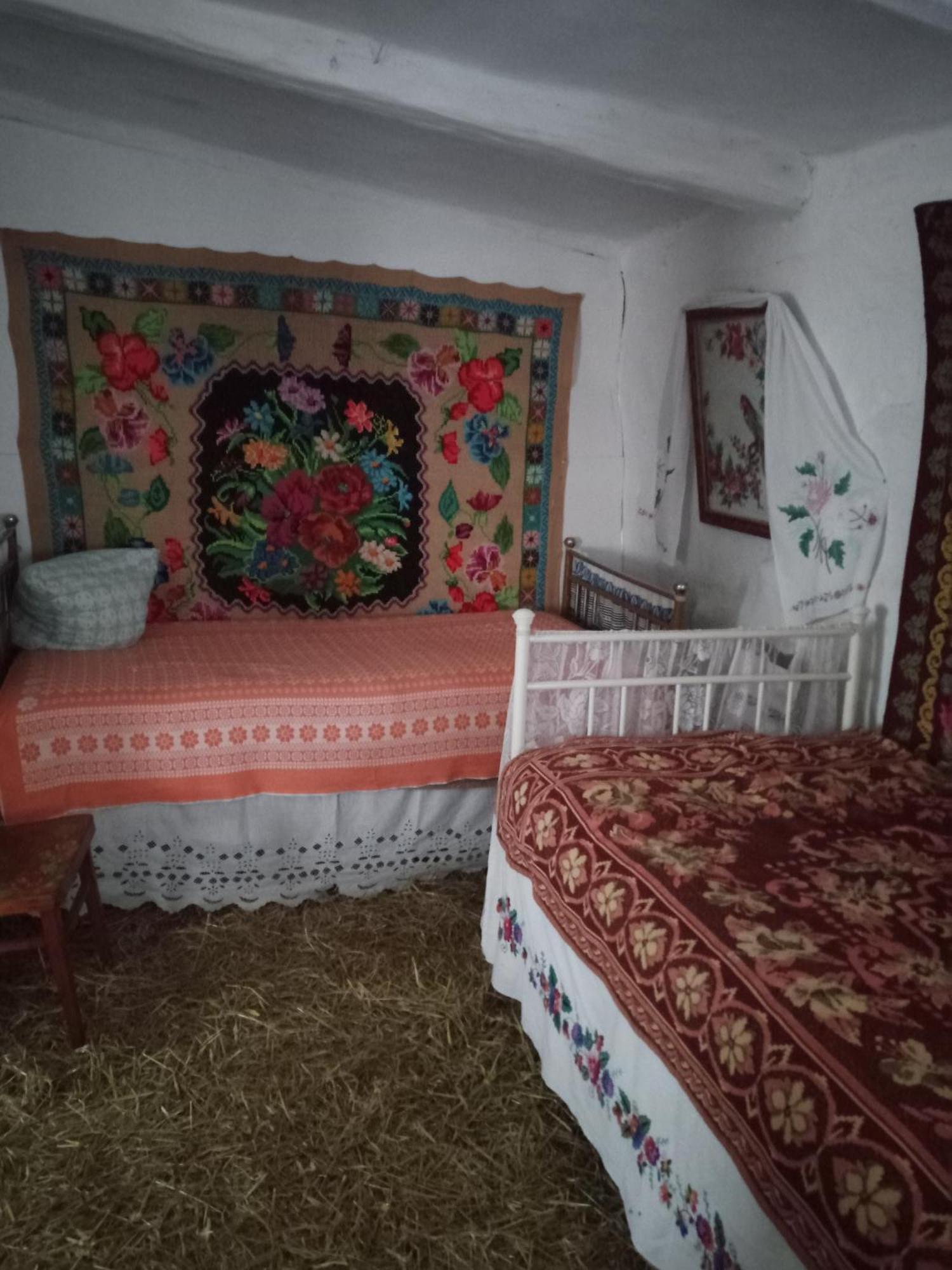 Дибинецькі Карпати Dybintsy Exteriér fotografie