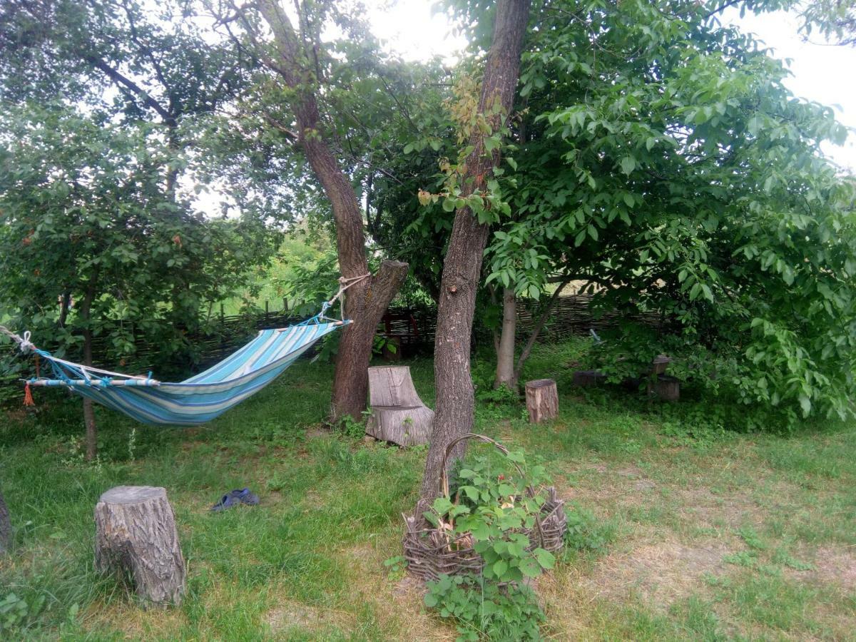 Дибинецькі Карпати Dybintsy Exteriér fotografie